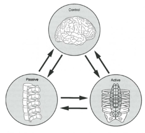 Conceptos Biomecánicos 3